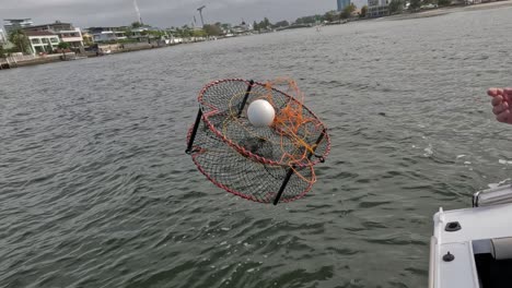 setting and releasing a crab trap into water