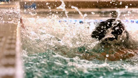 Fit-swimmer-swimming-to-the-edge-of-the-pool