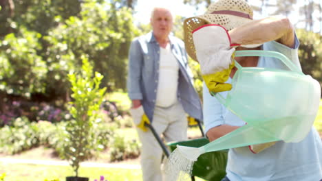 Abuelos-Regando-Plantas