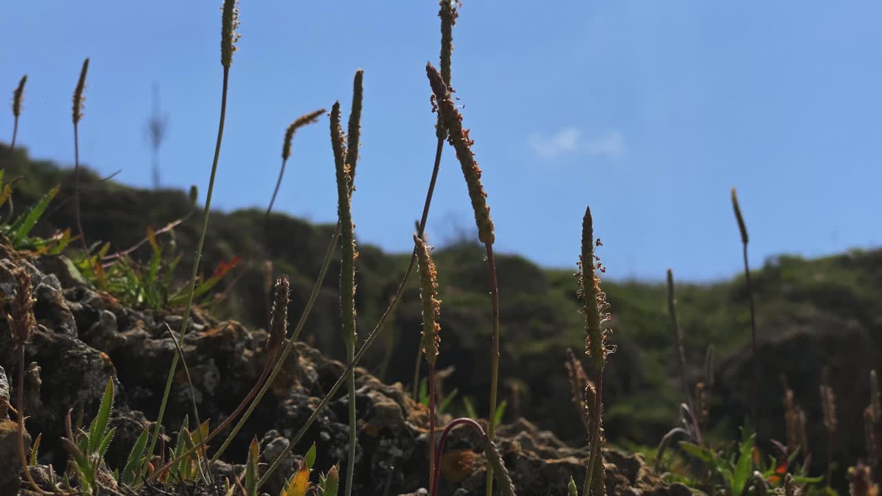 여름 에 다채로운 바다 꽃