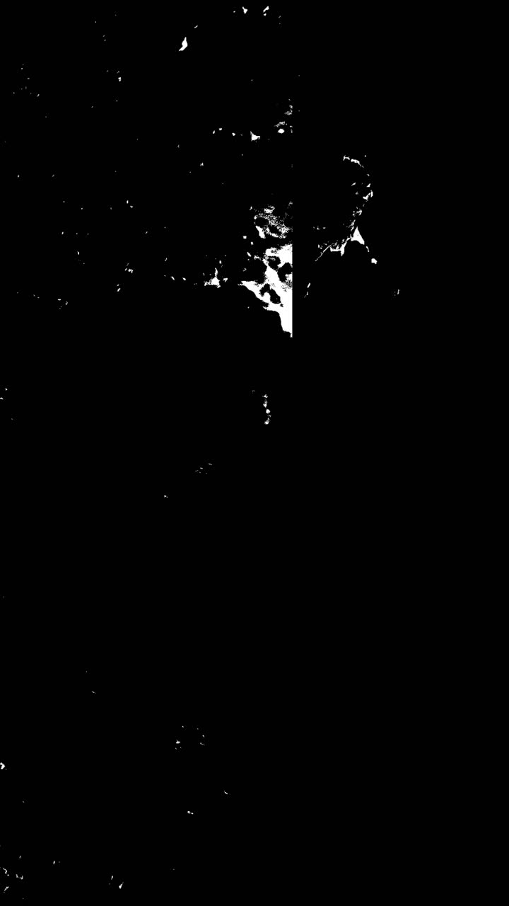 Abstract Black and White Film Grain and Dust Overlay