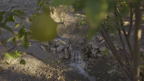 Desenfoque-De-Fruta-Naranja-Y-El-Tradicional-Jardín-De-Riego,-El-Concepto-De-Riego-Del-Huerto-Y-El-Chorro-De-Agua-Mineral-Caliente-En-El-Campo-En-El-Desierto-De-Irán,-Arabia-Saudita,-Agricultura,-Gente-Tradicional