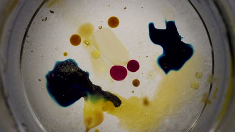 colorful abstract liquid blobs merging petri dish background texture