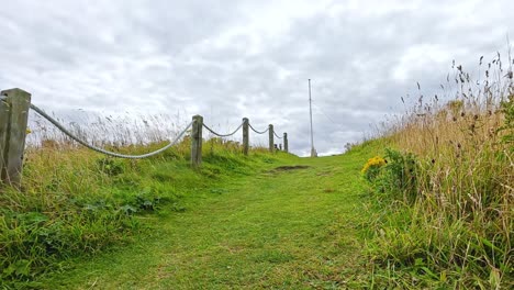 a scenic path through a flower field