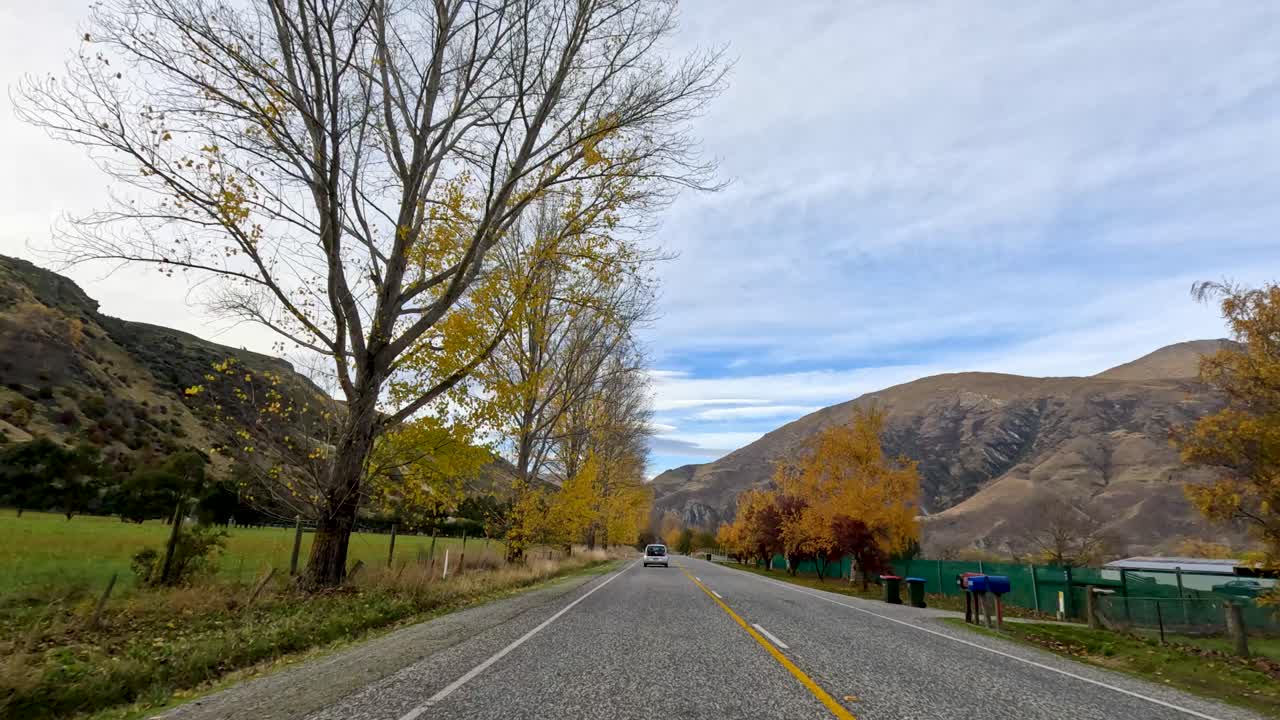 A serene drive along a tree-lined road in New Zealand during autumn, showcasing vibrant foliage and mountainous landscapes