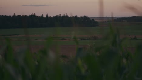 Dusk-over-deserted-grassland-countryside-moody-dramatic-magneta-sky