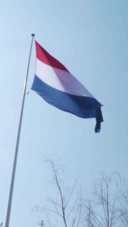 dutch flag waving in the sky