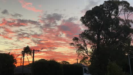 red orange pink sunset sky silhouette perth western australia gum tree