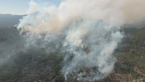 Waldbrand-Im-Uruapan-Nationalpark-In-Michoacan