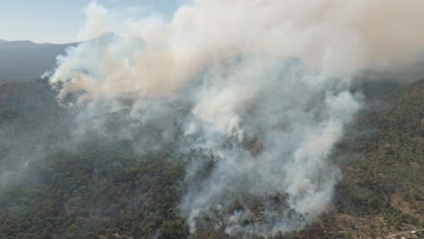 fuego salvaje en el parque nacional uruapan en michoacán