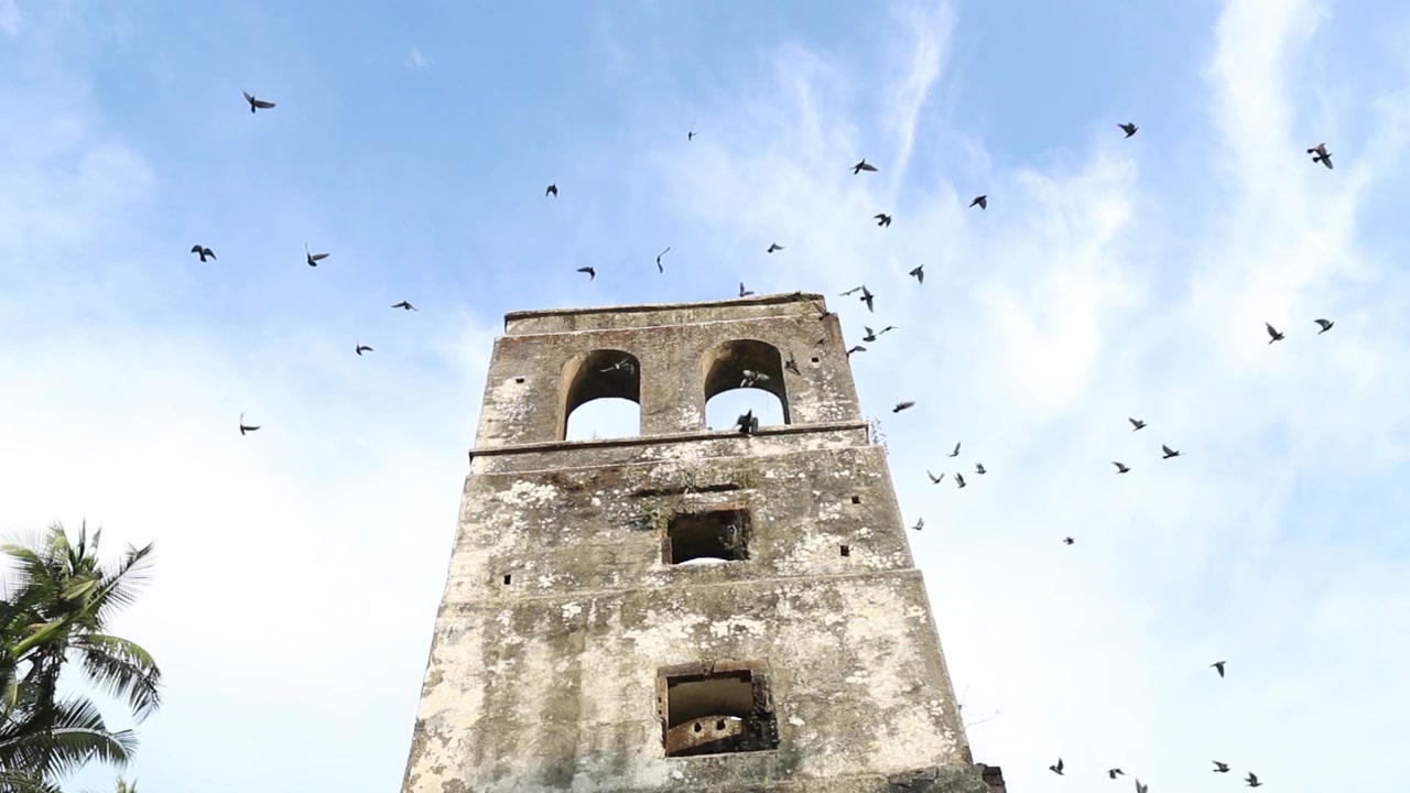 Uccelli che volano al rallentatore da un'antica torre campanaria