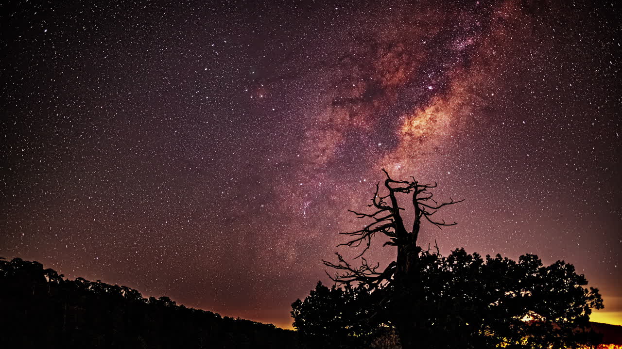 Timelapse Captures the Milky Way's Journey Across the Night Sky, Illuminating a Silhouette of Trees During Summer