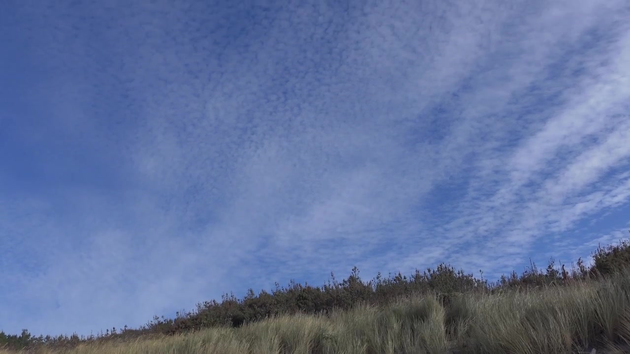 Oppoverhelling fra sanddyner til himmel som avslører interessante mønstre i cumulusskyer - Pegasus Bay, New Zealand