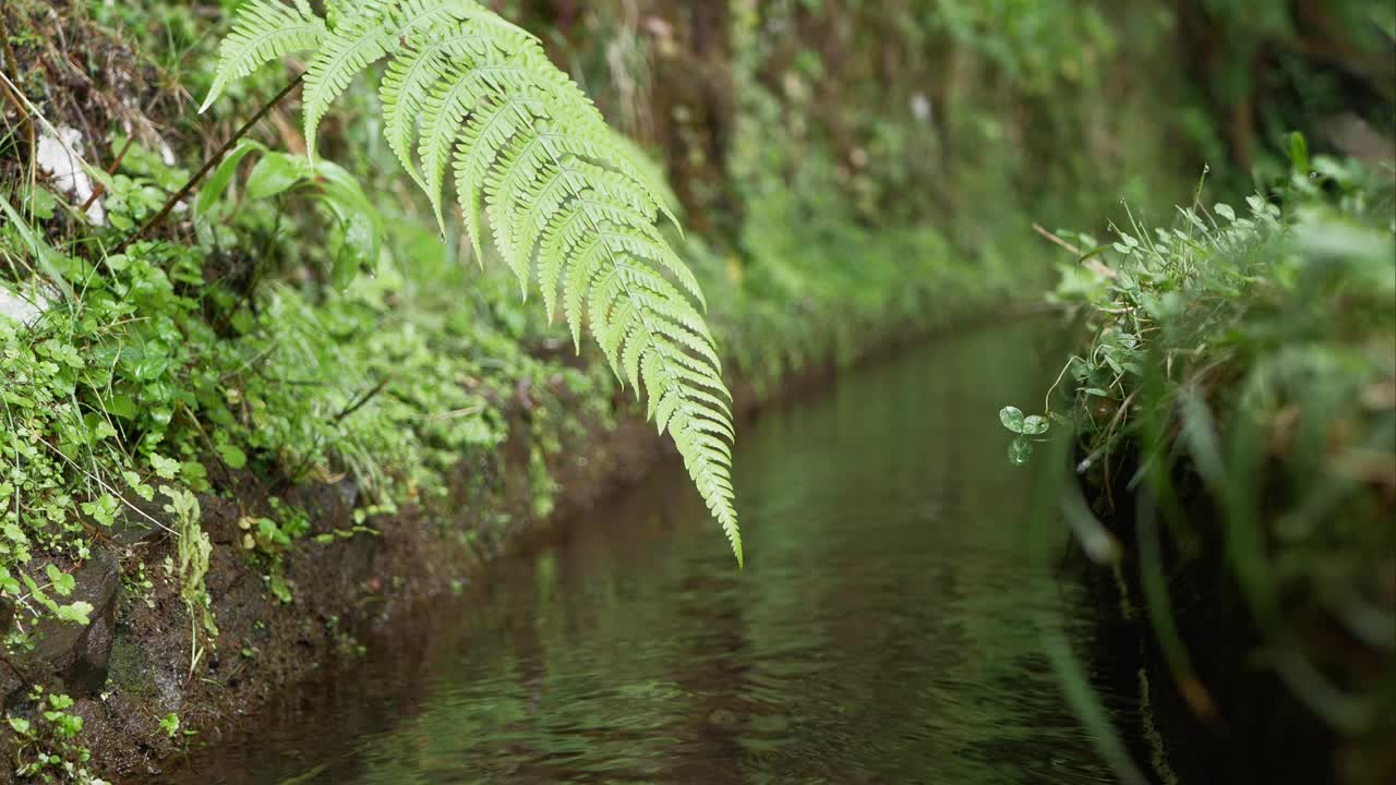 cerca de levada, pequeño canal de agua en madeira
