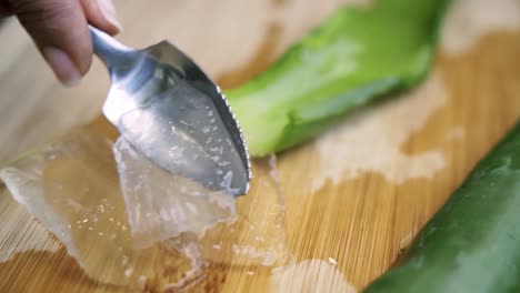 close up of scooping out aloe vera gel from leaf using serrated spoon