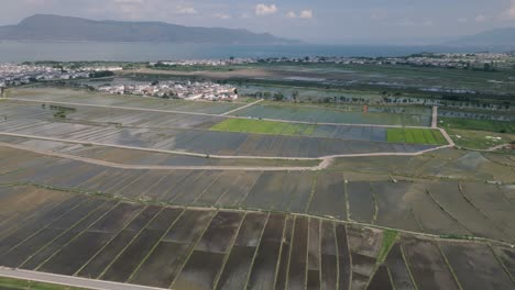 Atemberaubende-Drohnenaufnahmen-Der-Xi-Zhou-Reisfelder-Und-Eines-Gartensees,-Mit-Dem-Großen-Erhai-See-Im-Hintergrund