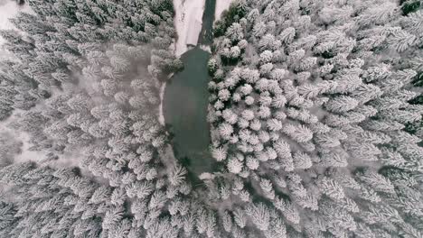 Top-down-view-of-small-lake-and-wooden-hut-surrounded-by-pine-trees-covered-in-snow