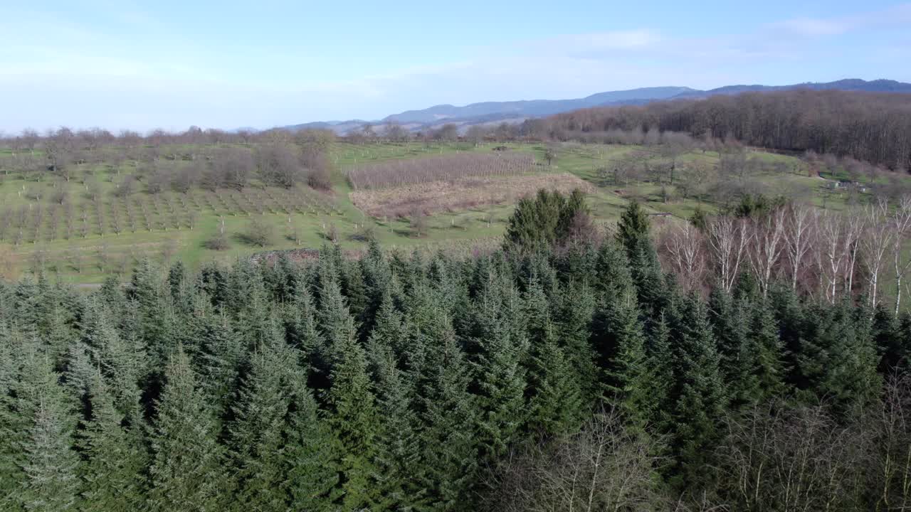 독일의 풍요로운 자연, 바덴-부르텐베르크의 공중 풍경