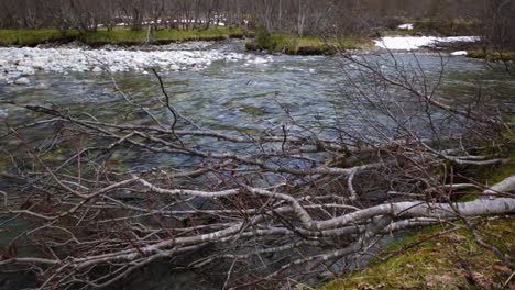 stream from the glacier