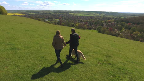 Aerial-Shot-Of-Mature-Couple-And-Dog-On-Walk-In-Countryside