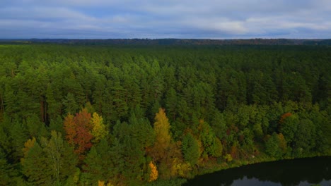 Beautiful-early-autumn-forest-aerial-panorama-pan-to-left-with-green-and-yellow-trees
