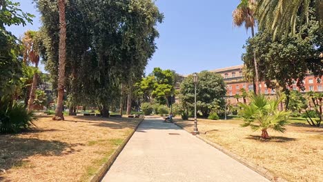 un paseo pacífico por un camino bordeado de árboles