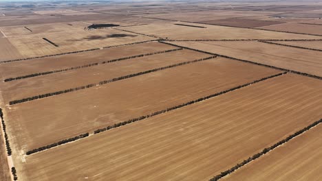 adentrarse en el mundo de las máquinas de vanguardia durante una operación de cosecha de canola a gran escala
