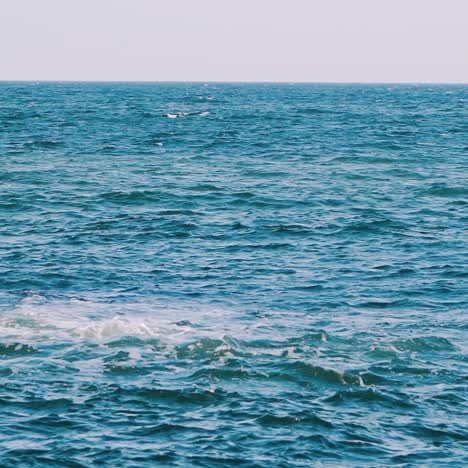 waves swaying on the sea water. amazing water background at storm. beautiful blue water of the ocean with waves and white foam. slow motion.
