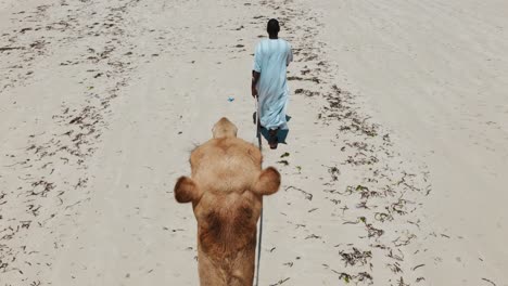 Un-Hombre-Negro-Con-Un-Vestido-Largo-Tradicional-De-África-Oriental-Camina-Sobre-La-Arena-Blanca-De-La-Playa-Y-Conduce-Un-Camello
