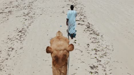 a black man in a traditional east african long dress walks on the white sand of the beach and leads a camel