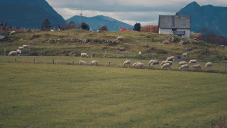 rural norway