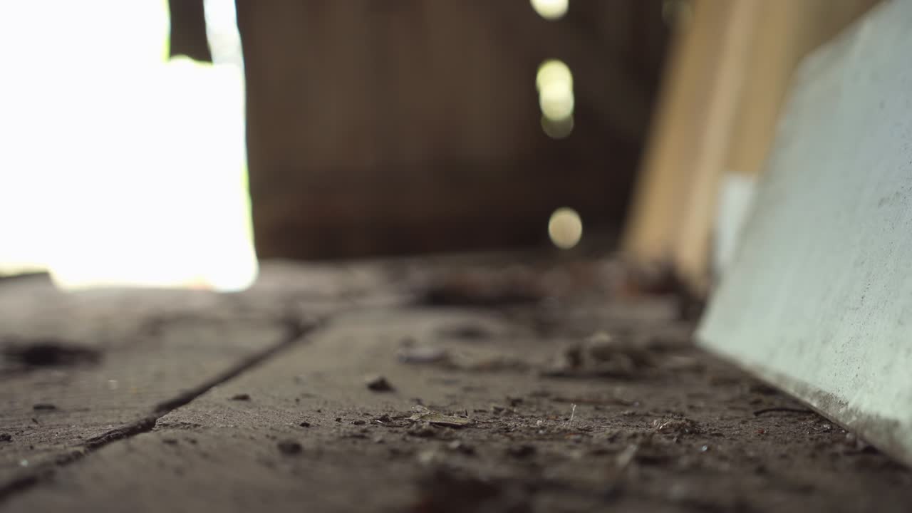 더러운 나무 나무판 바닥 오래된 초점 끌어