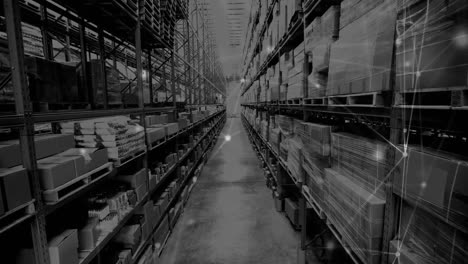 animation of network of connections over shelves in warehouse