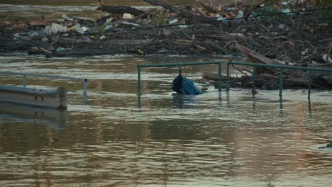 Flooded riverside area with debris and submerged railing, Budapest, Hungary
