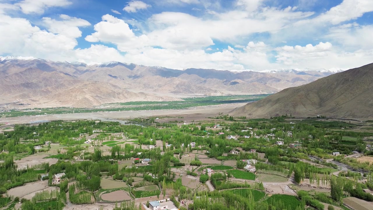 Droneoptagelse, der bevæger sig fremad over en stor grøn landsbyoase og landbrugsmarker i Indusfloddalen mod ørkenbjerge i Leh Ladakh, Indien