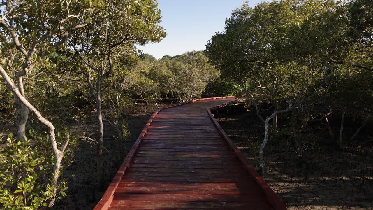 26 de febrero de 2023 - costa dorada, queensland, australia: vista a lo largo de la reserva beree badalla y el arroyo currumbin al amanecer