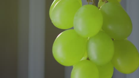 las uvas están colgando de una vid en una habitación