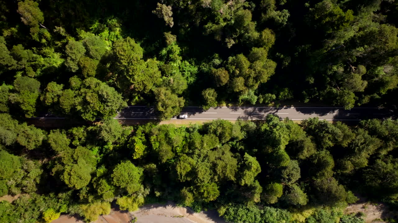 Rental car on country road through lush forest overtaken by speedy driver, drone
