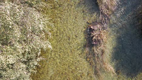 aerial top view