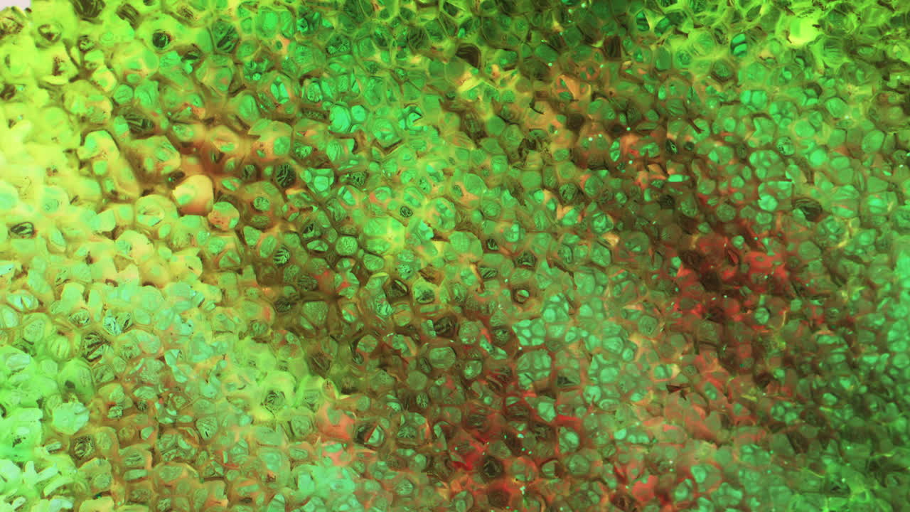 Abstract Colorful Crystal Texture