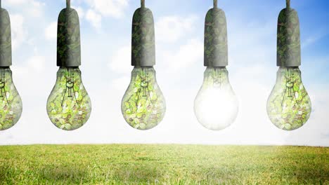 animations of light bulbs full of plants hanging over blue sky and grass