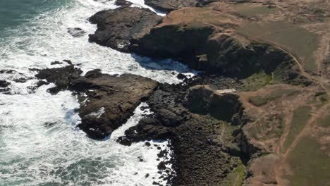 Toma-Aérea-Sobre-Roquerio-En-Punta-De-Lobos,-Chile-Finaliza-Con-Roda-De-Lobos