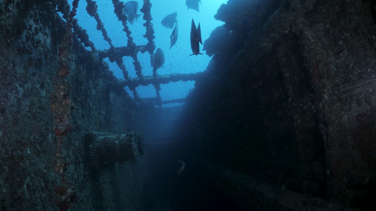 Unique scuba divers view inside of the recently scuttled Navy boat the Ex-HMAS Tobruk artificial reef showing the sunlight penetrating through the side of the sunken ship