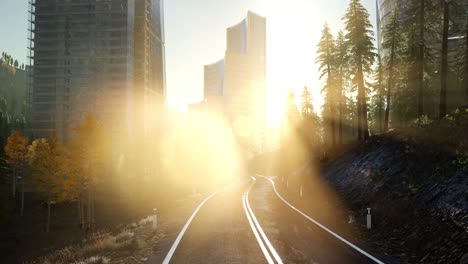 road in the forest