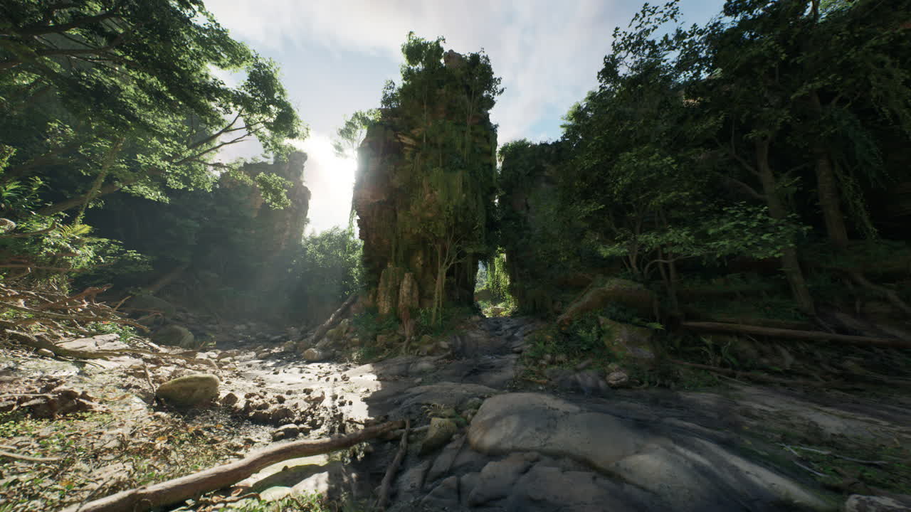 태국 정글의 조용한 하천에서 울창한 나무를 통해 빛이 필터링됩니다.