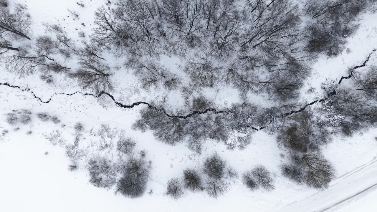 Una vista aerea mozzafiato cattura una foresta innevata con un ruscello serpeggiante visibile nel paesaggio bianco. La scena tranquilla è avvolta nel silenzio invernale.