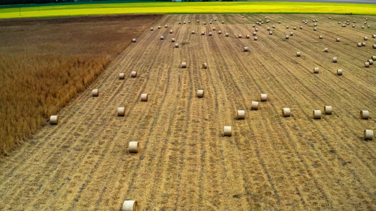 폴란드의 위쪽에서 은 날에 강간