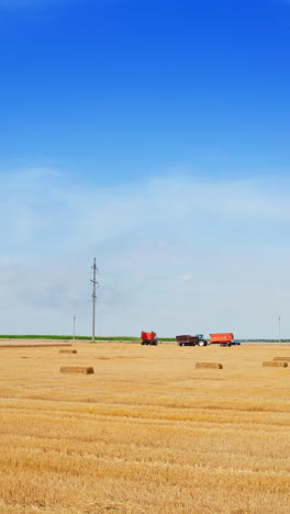 Cut wheat plantation with hay bales on it. Agricultural machinery standing in the field at the backdrop. Blue sky background. Vertical video
