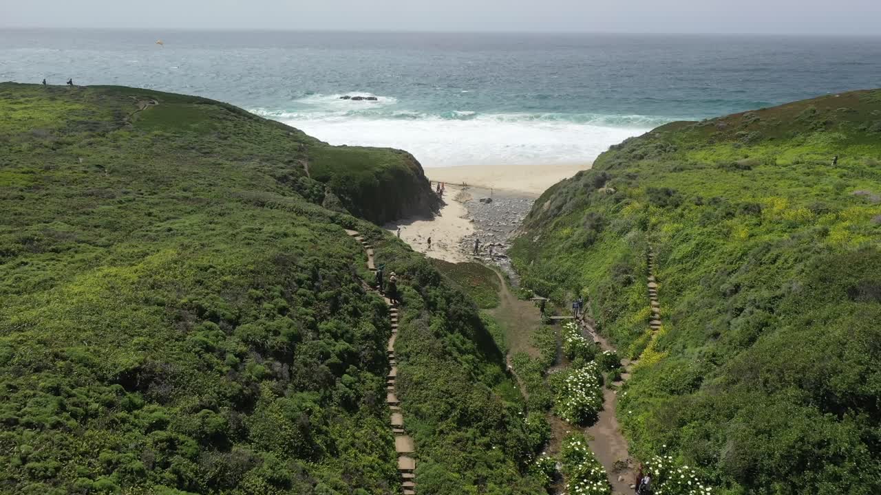 Valle verde verso la piccola spiaggia sulla costa di Big Sur in California, Stati Uniti.