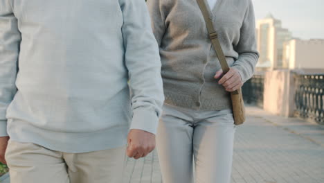 elderly couple walking in a city park